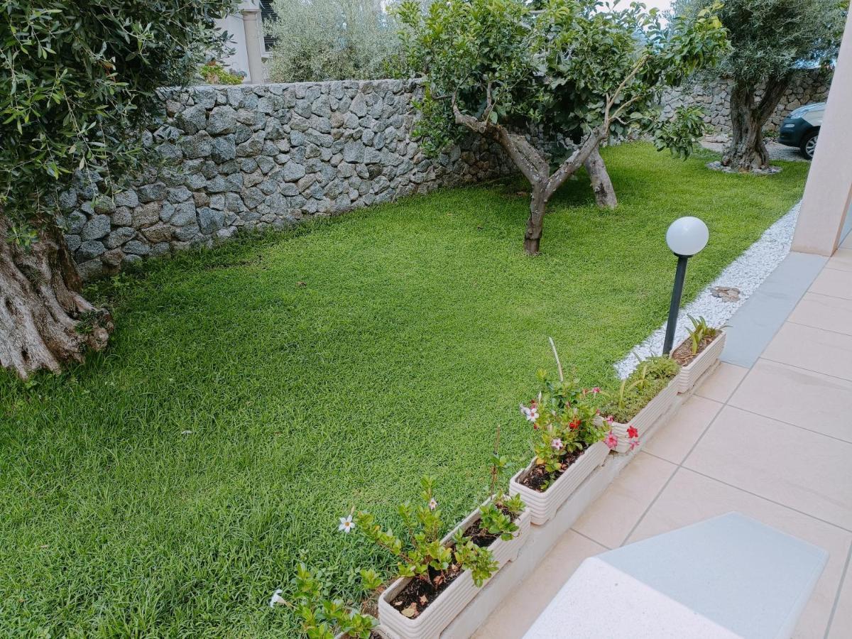 B&B Villa Orchidea Рикаді Екстер'єр фото